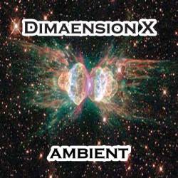 Dimaension X : Ambiant Dimaension X : Ambiant